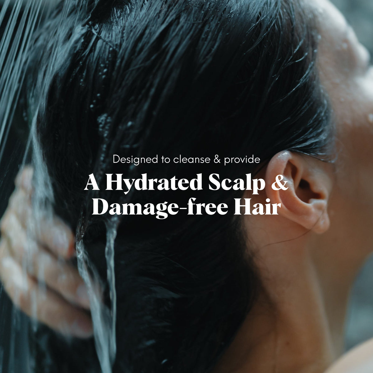 mild shampoo for hair