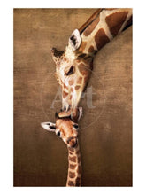 Load image into Gallery viewer, Giraffe Mother&#39;s Kiss